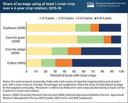 Cover_crop_rotations.png