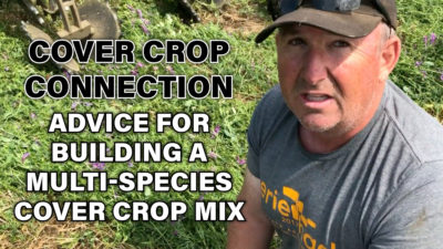 Advice for Building a Multi Species Cover Crop Mix