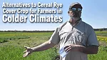 Alternatives-to-Cereal-Rye-Cover-Crop-for-Farmers-in-Colder-Climates.png