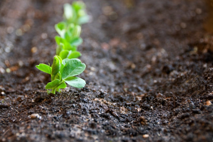 Soil-Health