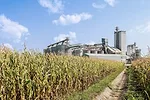 Biofuels.png