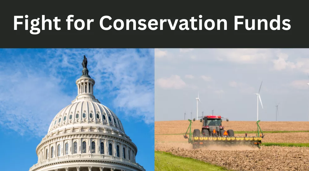 Eye on Washington.png