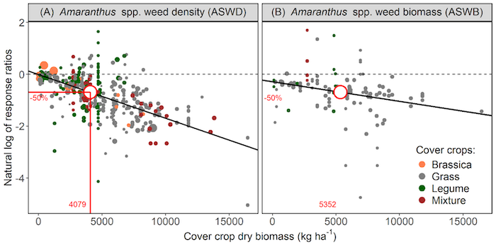 Managing Pigweeds with Cover Crops