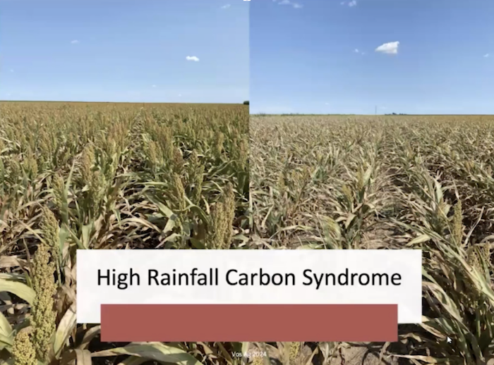 high-rainfall-carbon-syndrome.png