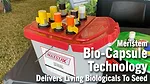 Meristem-Bio-Capsule-Technology-Delivers-Living-Biologicals-To-Seed.png