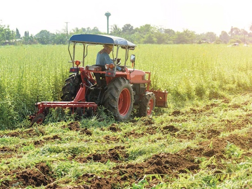 tillage-termination.jpg