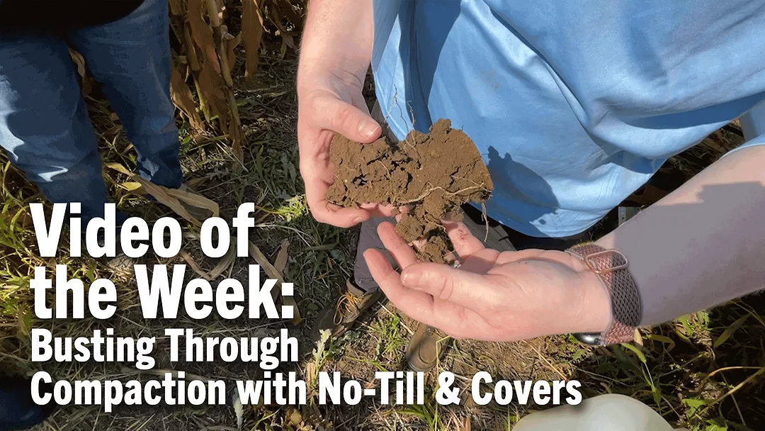 Video-of-the-Week--Busting-Through-Compaction-with-No-Till-&-Covers.png
