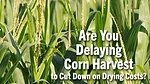 Are-You-Delaying-Corn-Harvest-to-Cut-Down-on-Drying-Costs-.png
