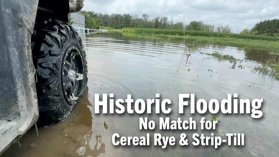 Historic-Flooding-No-Match-for-Cereal-Rye-&-Strip-Till.png
