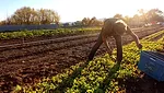 agro1-a.jpg