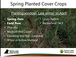 Best Cover Crops for Spring.png