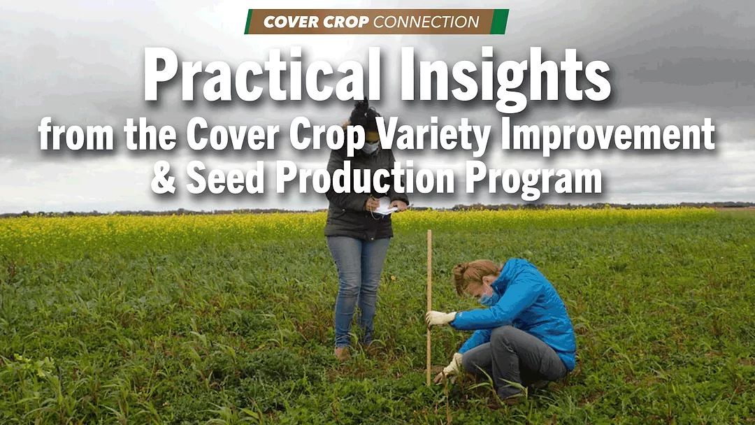 Practical-Insights-from-the-Cover-Crop-Variety-Improvement-&-Seed-Production-Program.png
