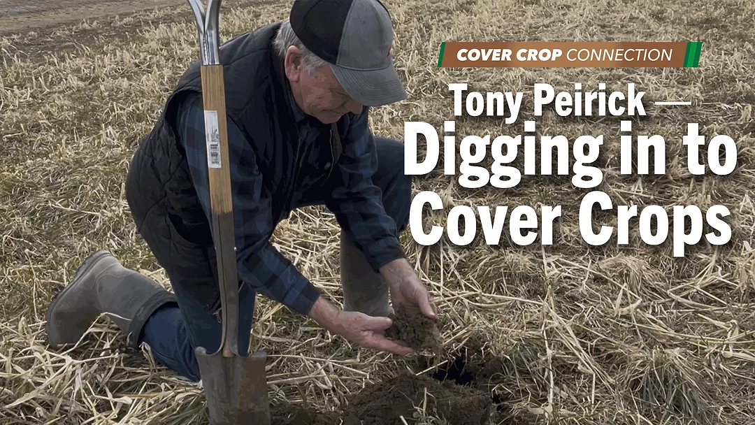 Tony-Peirick-—-Digging-in-to-Cover-Crops.png