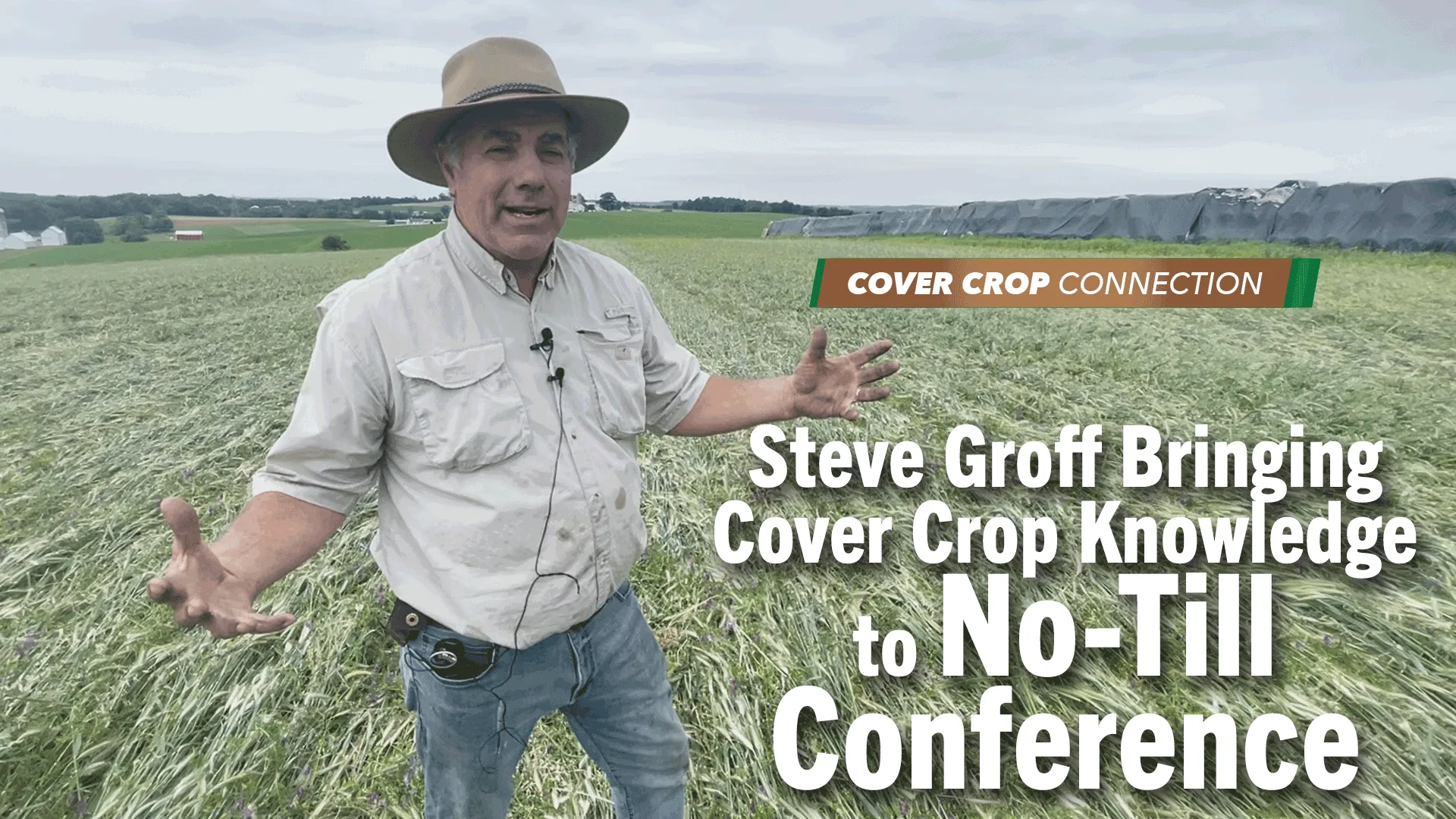 Steve groff bringing cover crop knowledge to no till conference
