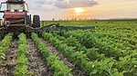 Tom-Cotter-interseeding-blended-cover-crops-1.jpg