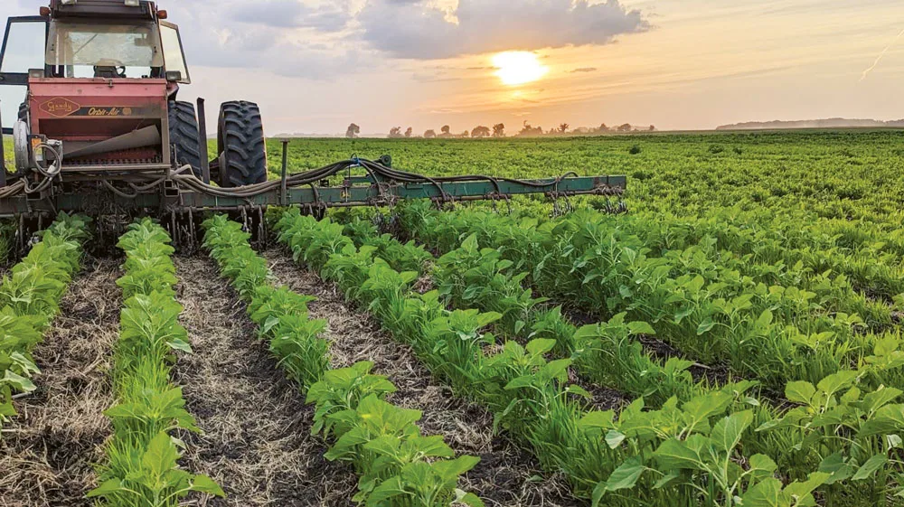 Tom-Cotter-interseeding-blended-cover-crops-1.jpg