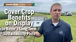 Cover-Crop-Benefits-on-Display-in-Bayer’s-Long-Term-Sustainability-Plots.png