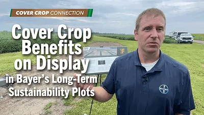 Cover Crop Benefits on Display in Bayer’s  Long-Term Sustainability Plots