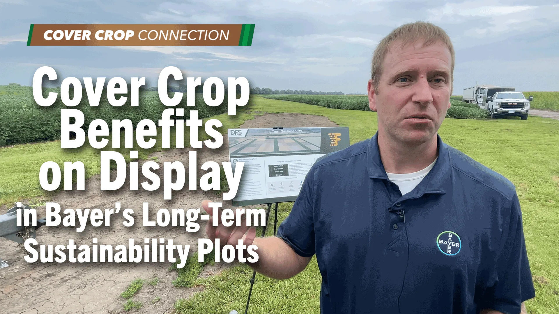 Cover crop benefits on display in bayers long term sustainability plots