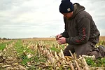 PFI's Cover Crop Cost-Share - Photo.JPG