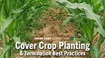 Cover-Crop-Planting-&-Termination-Best-Practices.png