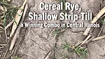 Cereal-Rye,-Shallow-Strip-Till-a-Winning-Combo-in-Central-Illinois.png