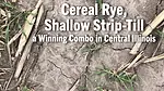 Cereal-Rye,-Shallow-Strip-Till-a-Winning-Combo-in-Central-Illinois.png