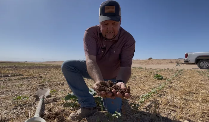 Boyle Soil.png