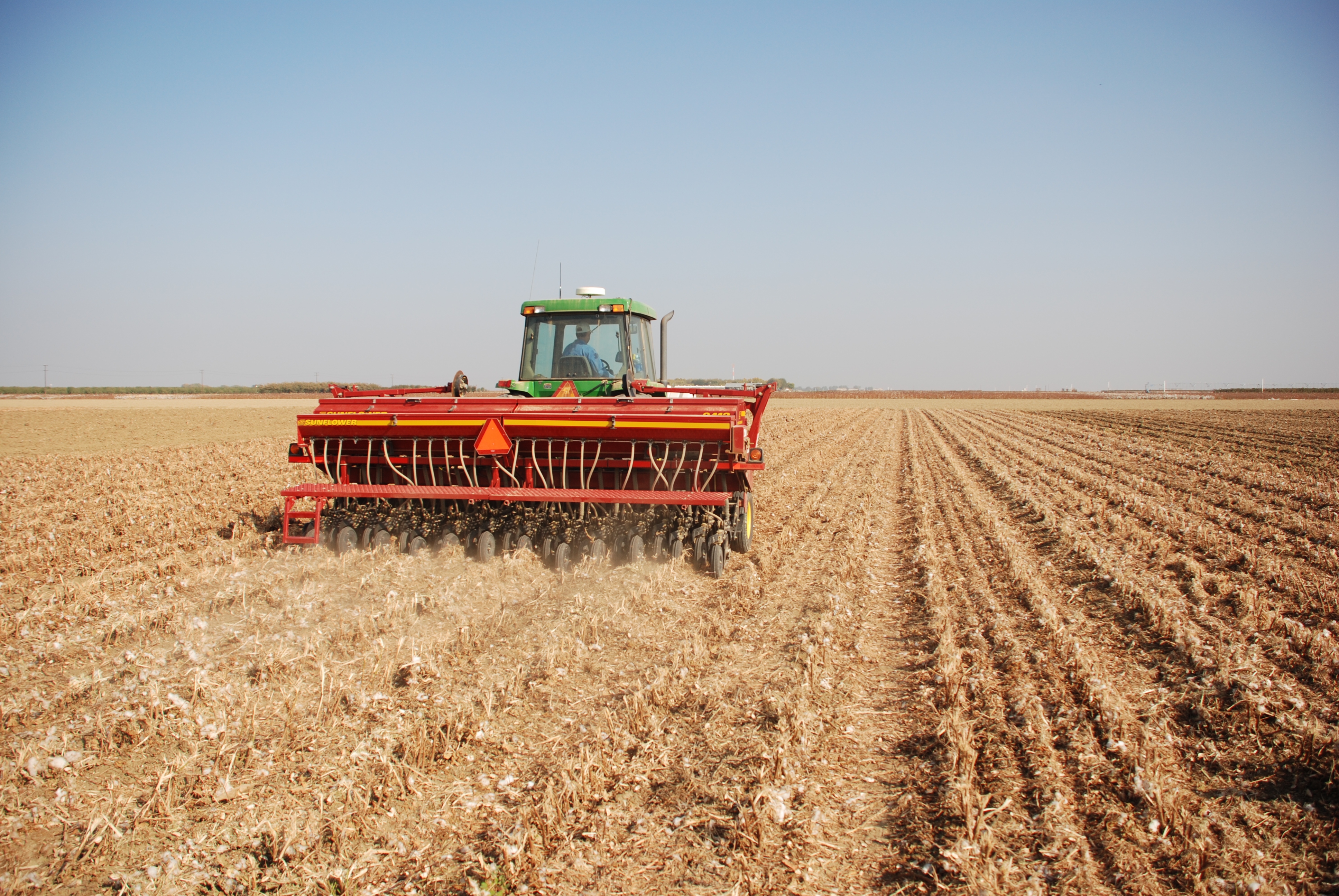 No-till tomato cotton