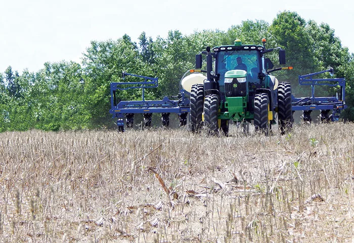 Planting_Lima_beans.jpg