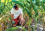 040_Doug_Rogers_LB_0916.jpg
