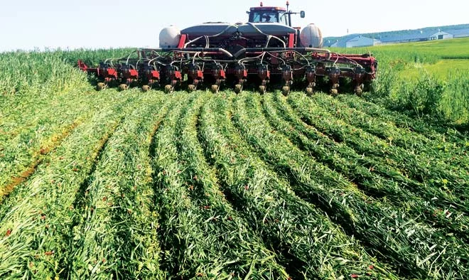 9 Growers Spill Their Secrets for Planting into Cover Crops