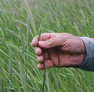 228_illinois_visits_la_0516