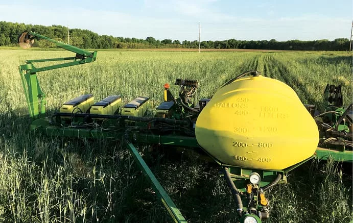 Planting_corn_green_in_cereal_rye_may_31