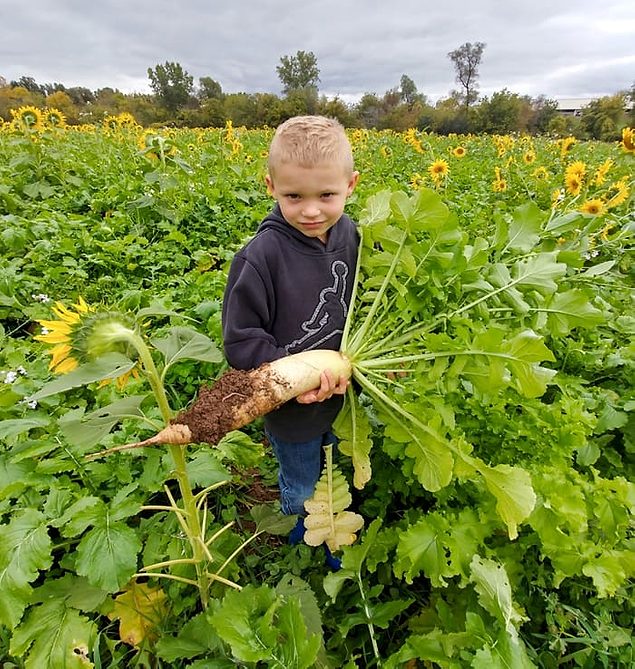 NoTill, Cover Crops Pay Dividends on Dairy Farm