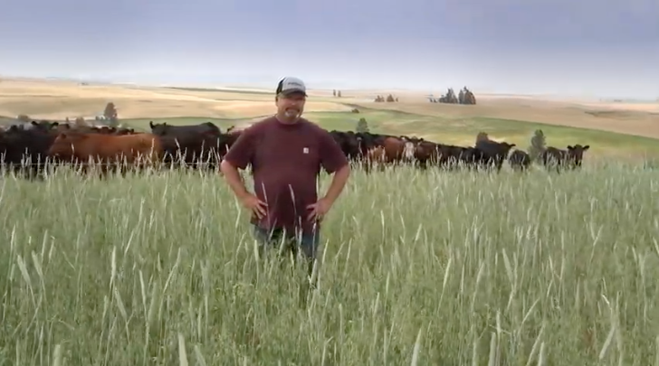 [Video] Case Study: Raising Cover Crops for Grazing | 2019-02-28