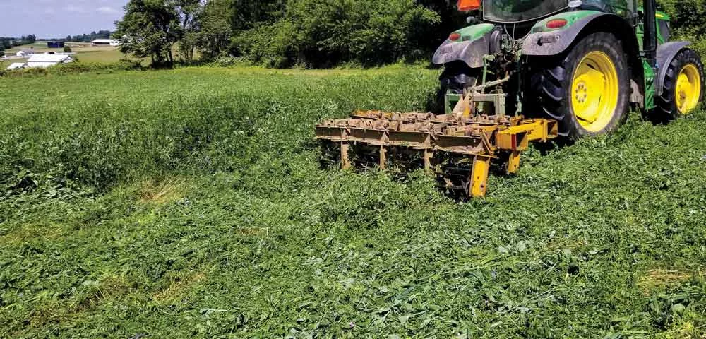 rolling-hairy-vetch-and-peas.jpg