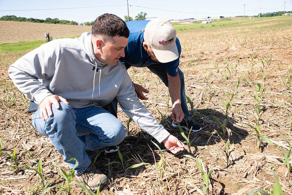 Hedging Your LongTerm Weed Control Bets to Reduce Herbicide Reliance