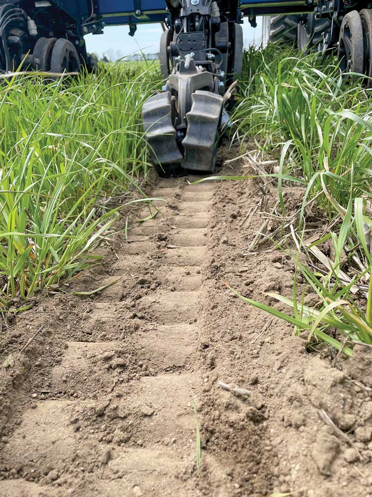 Strip-Till & Cover Crops Offer the 'Best of Both Worlds