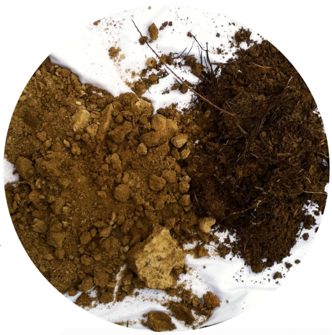 barren-subsoil-devoid-of-organic-matter.png