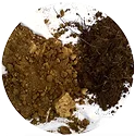 barren-subsoil-devoid-of-organic-matter.png