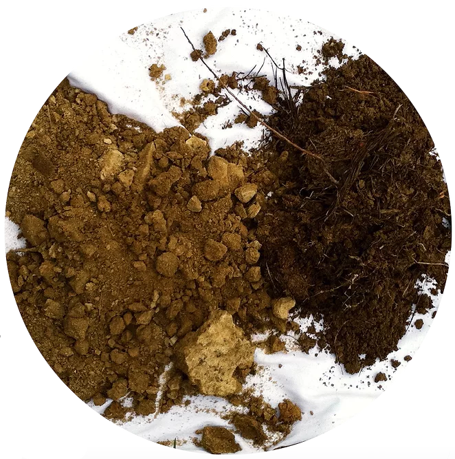 barren-subsoil-devoid-of-organic-matter.png