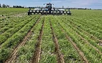 build-soil-structure.jpg