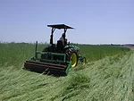 Roller crimper