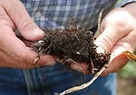 Soil Health Institute soil organic carbon levels.jpg