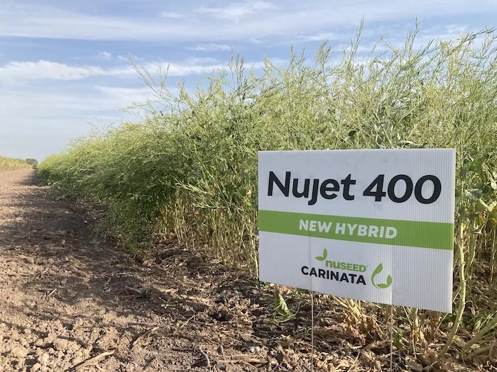 USA_CARINATA_TX Field Day AP-040422-4.jpg