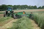 burndown afte ryelage harvest.jpg