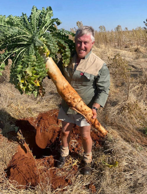 Jannie Keet holding a gigantic radish the size of his body in South Africa