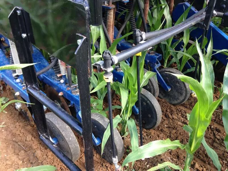 why-interseeding-might-1.jpg