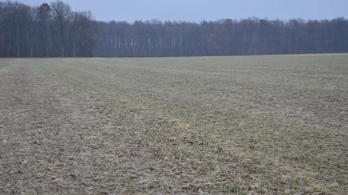 Farm Progress Photo 1.png
